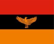 New Zambia flag from zambia xx pic