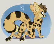 Adorable Cheetah :3 [F] (Reign-2004) from reign 2004